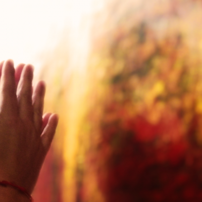 Dans les grands espaces sauvages 4